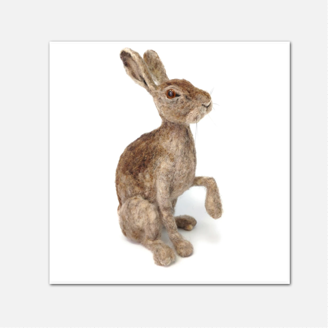 Scottish Hare Kit